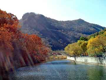 管家婆黑白马报图库，痞子大亨